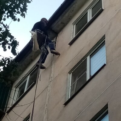 Защита кровли от птиц